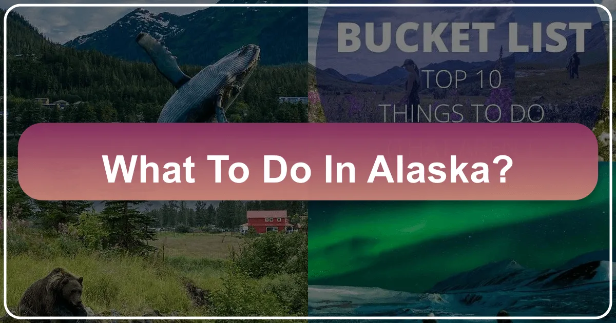 What To Do In Alaska?