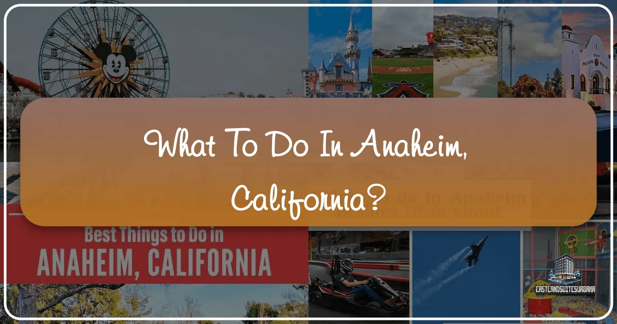 What To Do In Anaheim, California?