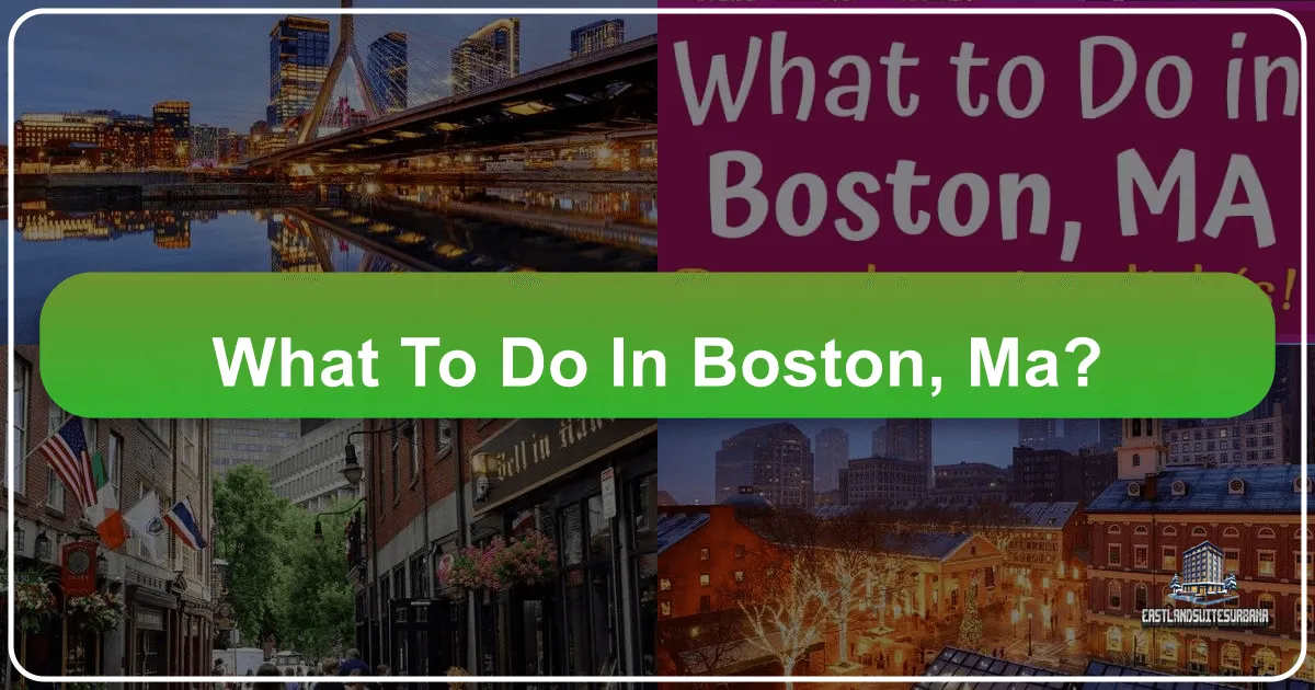 What To Do In Boston, Ma?