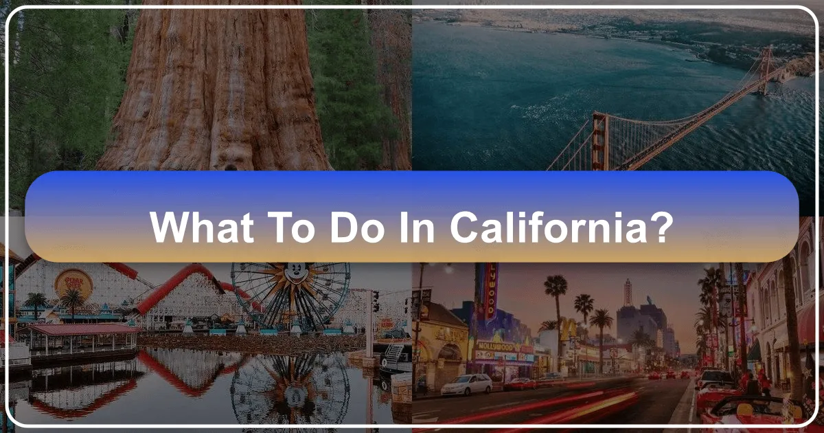 What to Do in California
