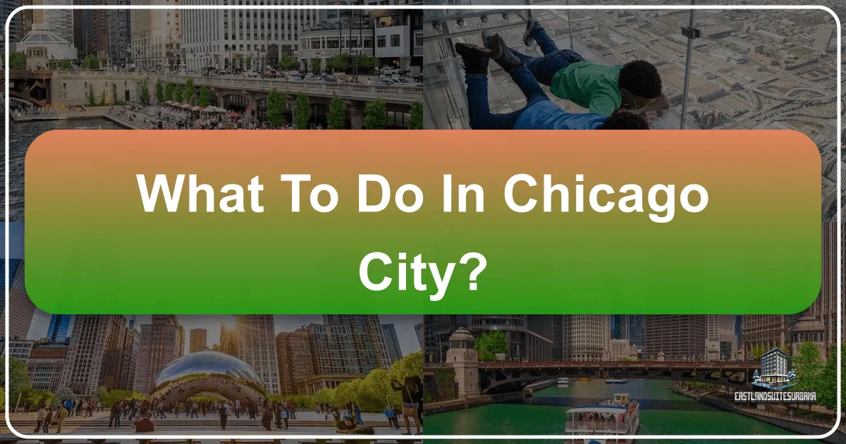What To Do In Chicago City?
