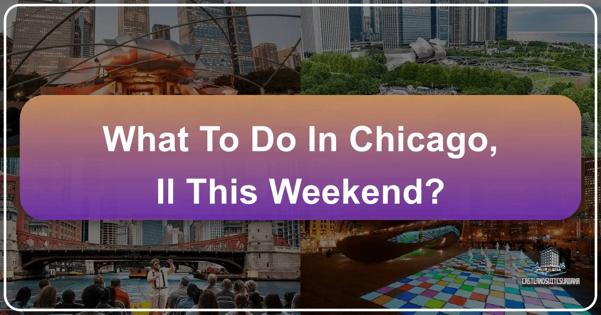 what to do in chicago il this weekend