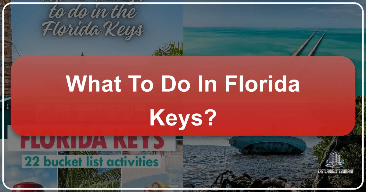 What To Do In Florida Keys?