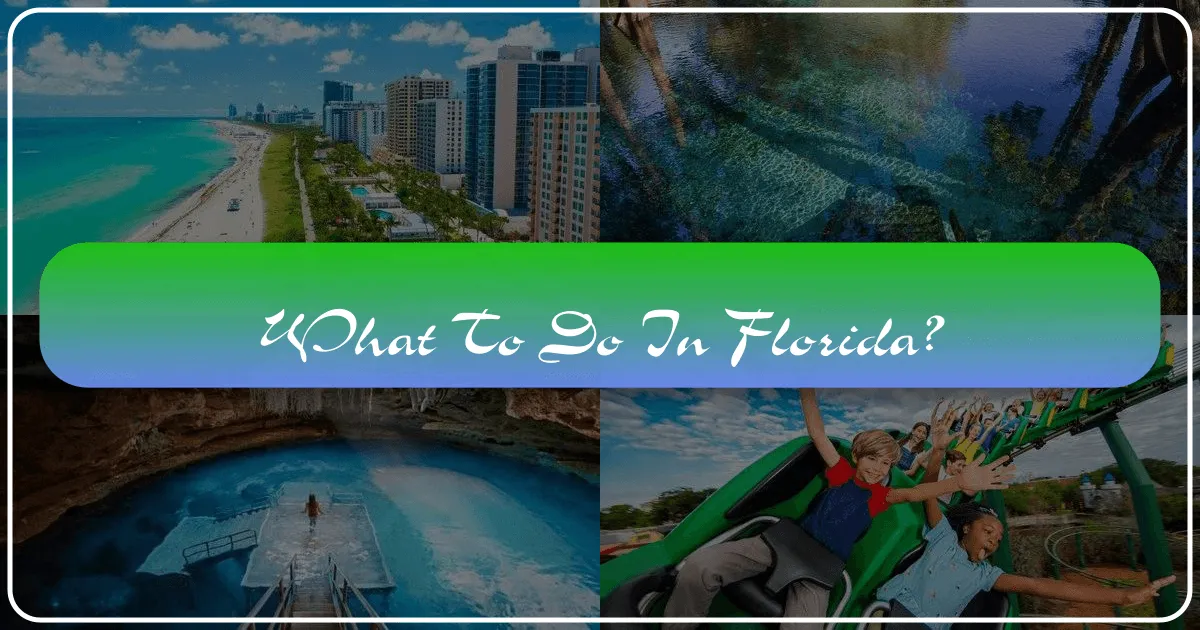 What to Do in Florida: Your Ultimate Guide to Sunshine State Adventures