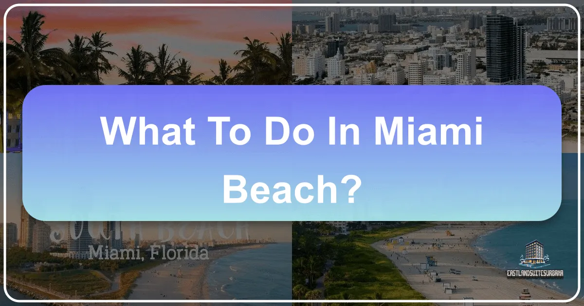 What To Do In Miami Beach?