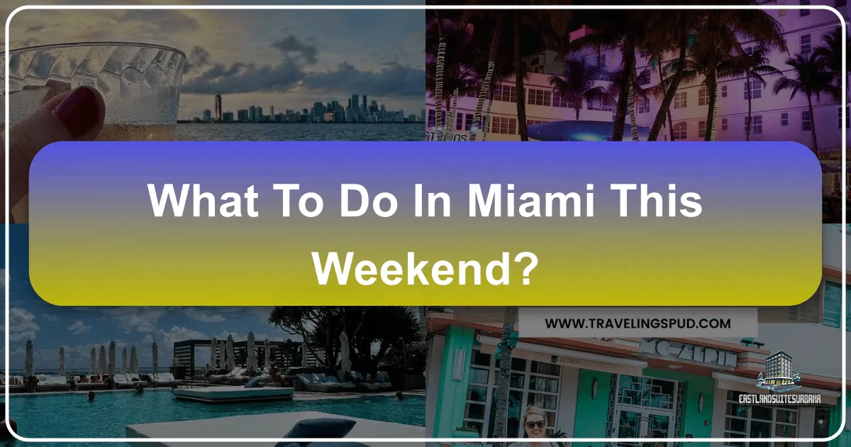 What To Do In Miami This Weekend?