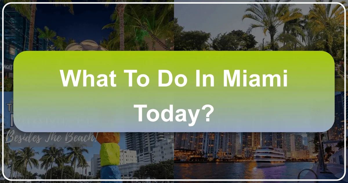 What to Do in Miami Today