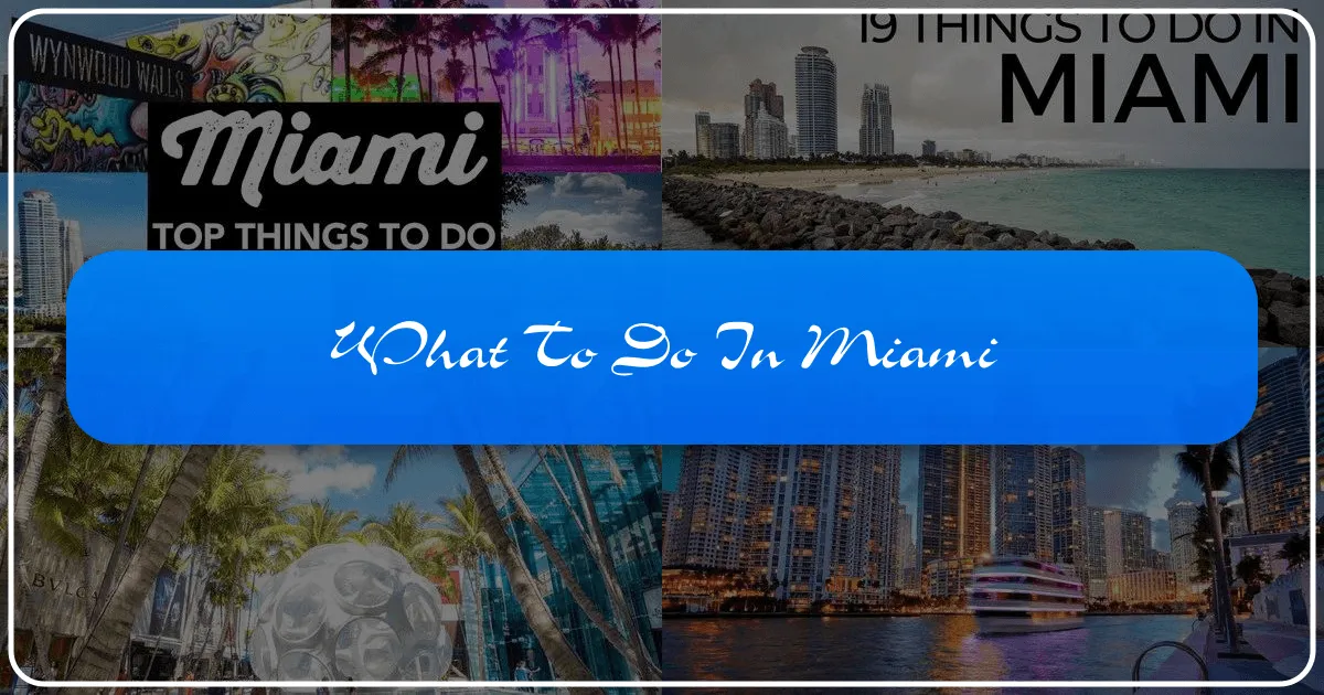 What to Do in Miami