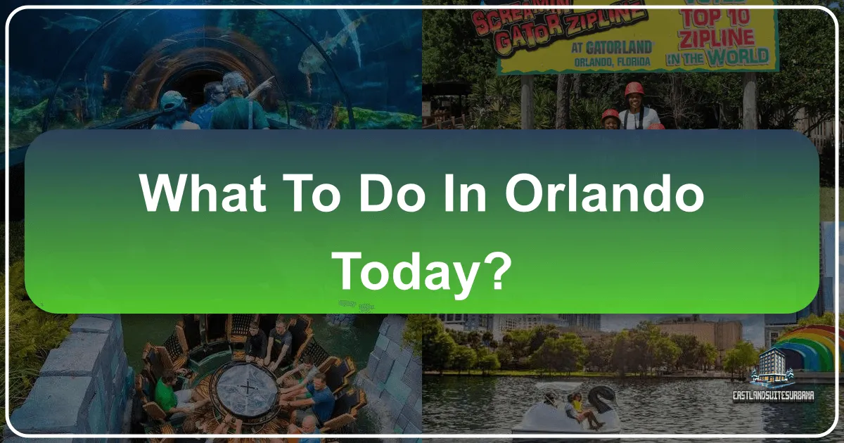 What to Do in Orlando Today