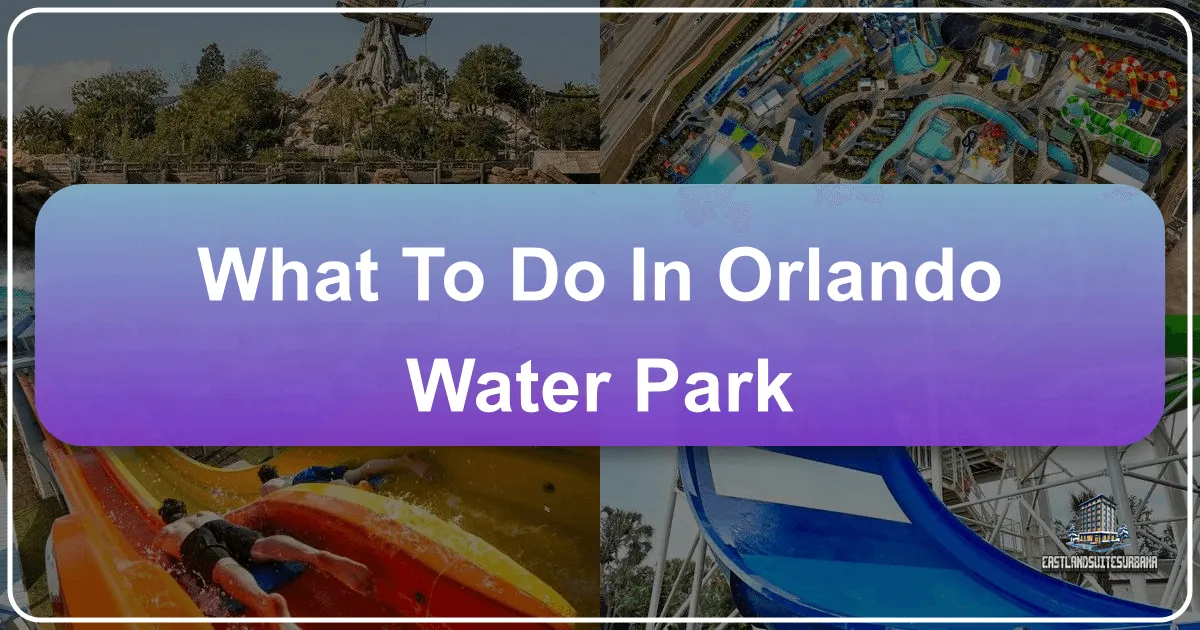 What To Do In Orlando Water Park