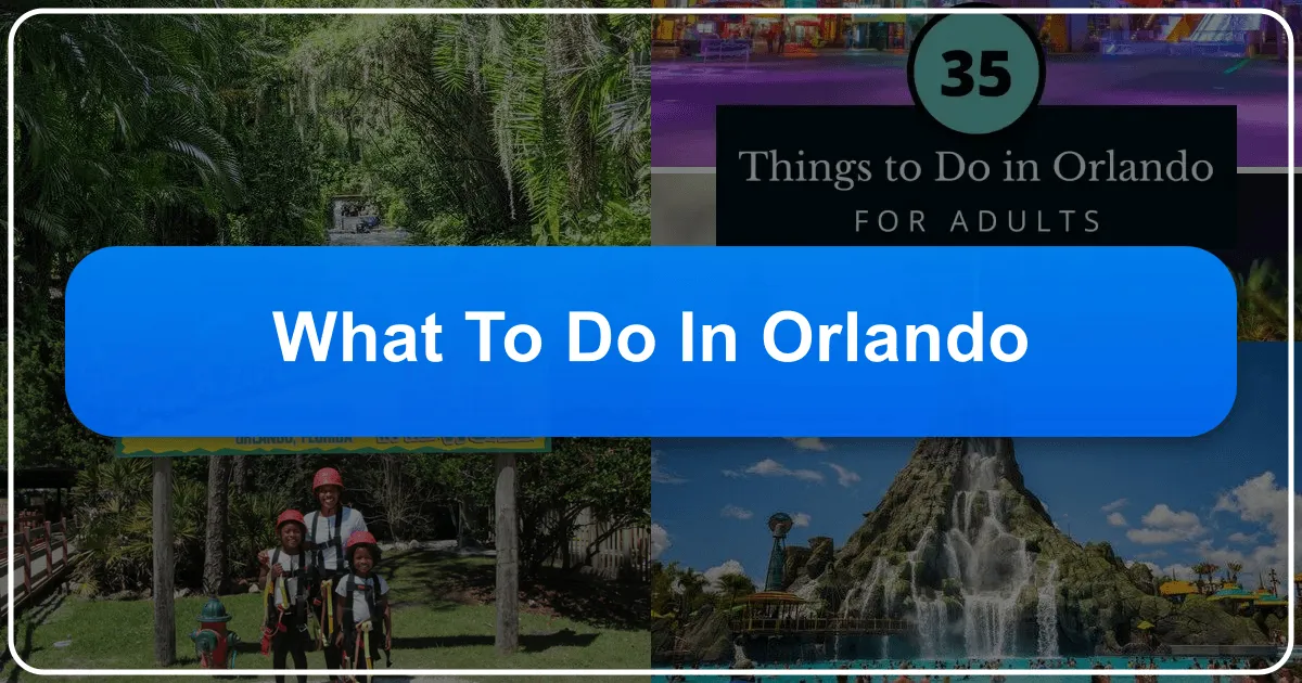 What to Do in Orlando