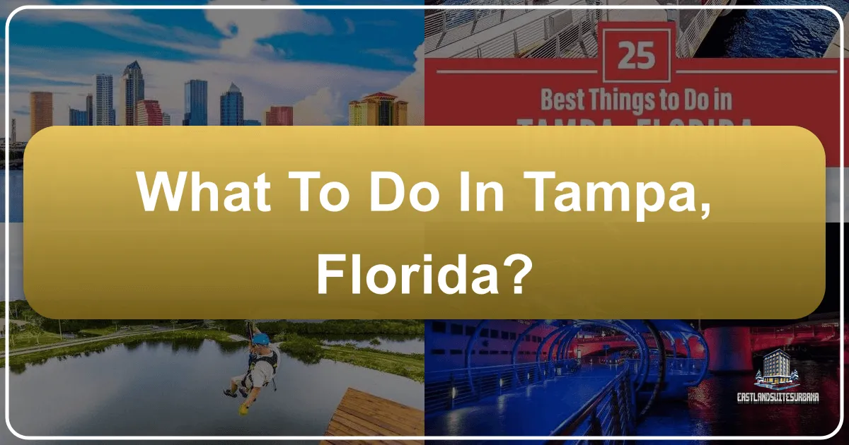 What to Do in Tampa, Florida