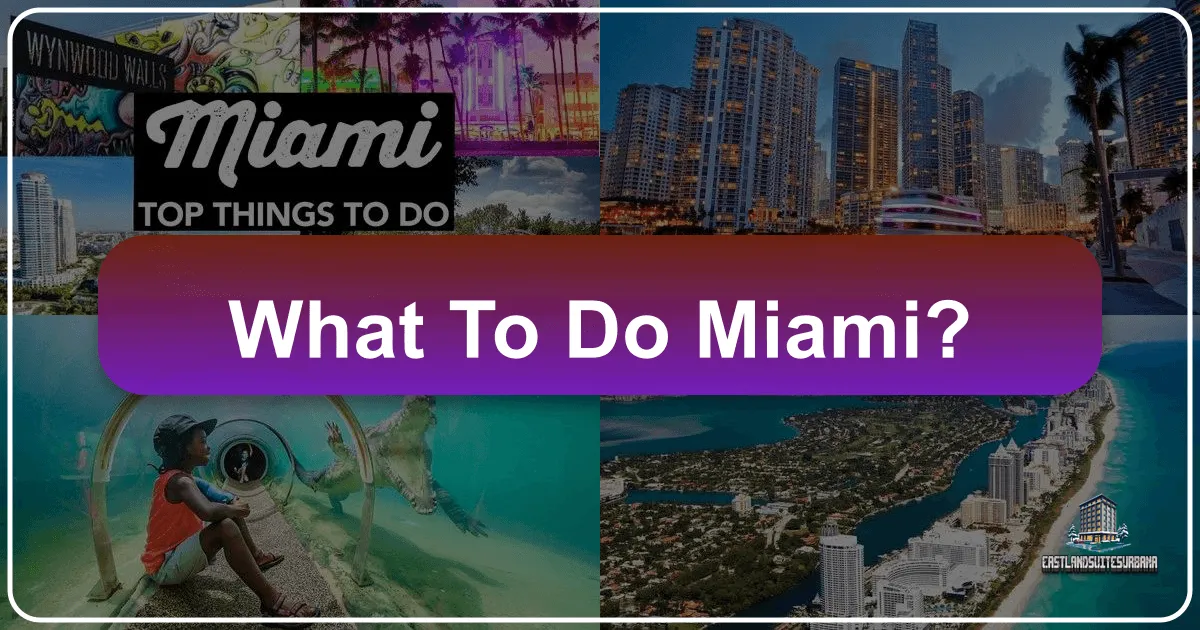 What To Do Miami?