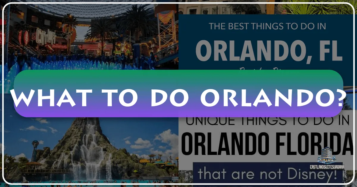 What to Do Orlando