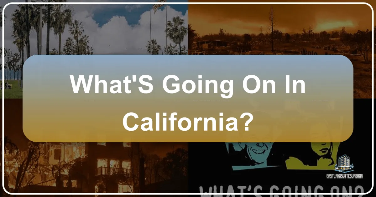 What'S Going On In California?