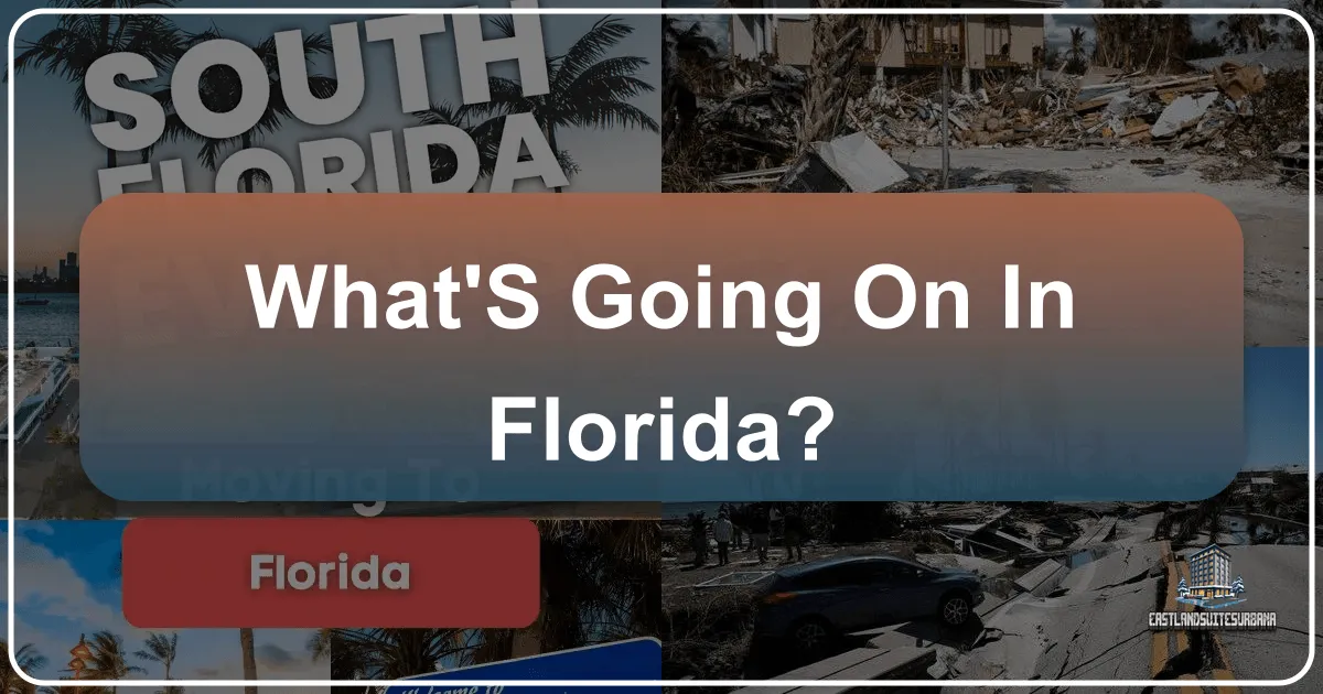 What's Going On In Florida