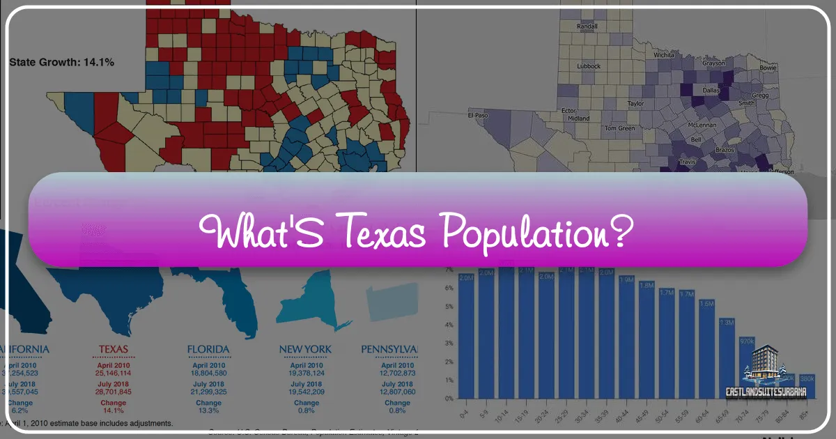 What'S Texas Population?