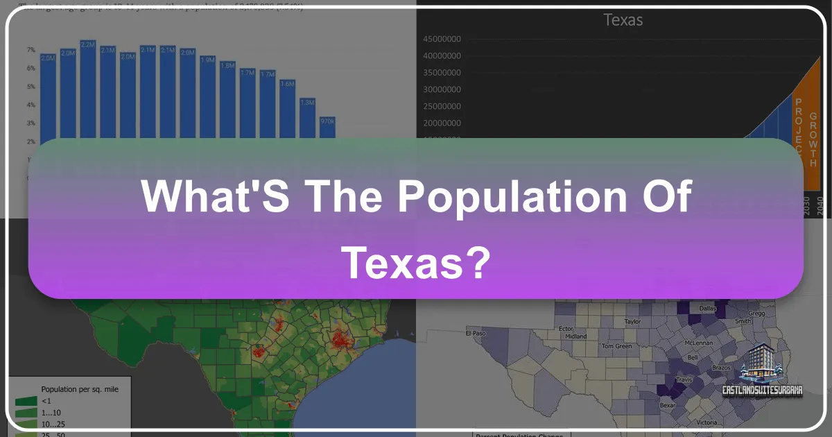 What's the Population of Texas