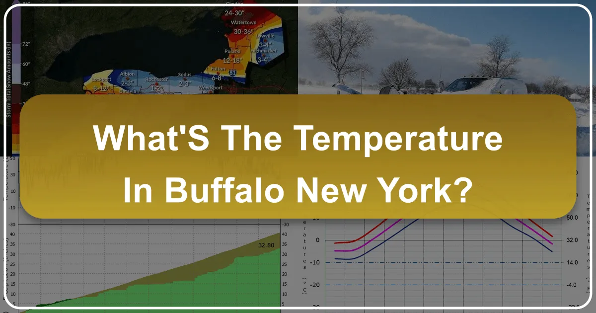 What's the Temperature in Buffalo, New York?