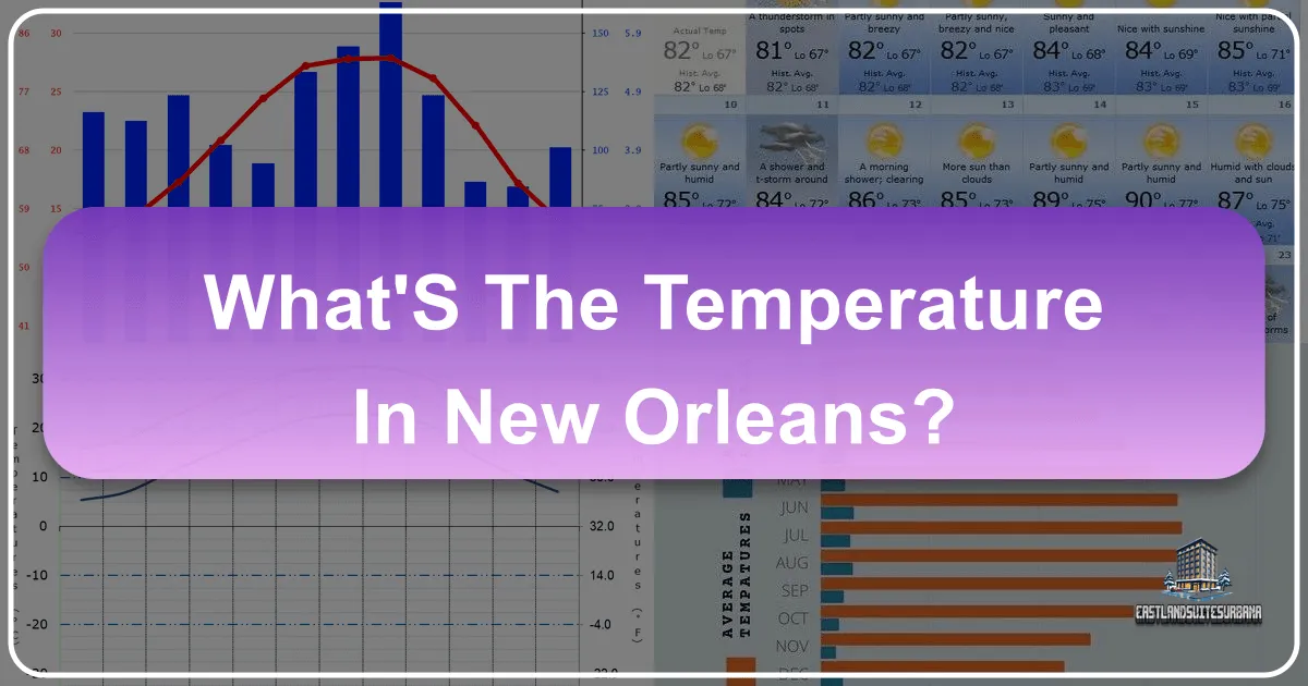 What's The Temperature In New Orleans?