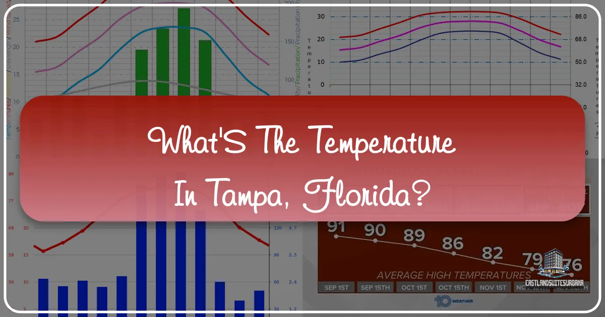 What'S The Temperature In Tampa, Florida?