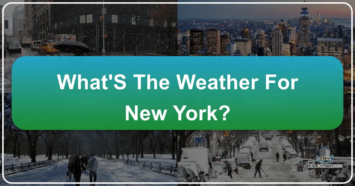 What'S The Weather For New York?