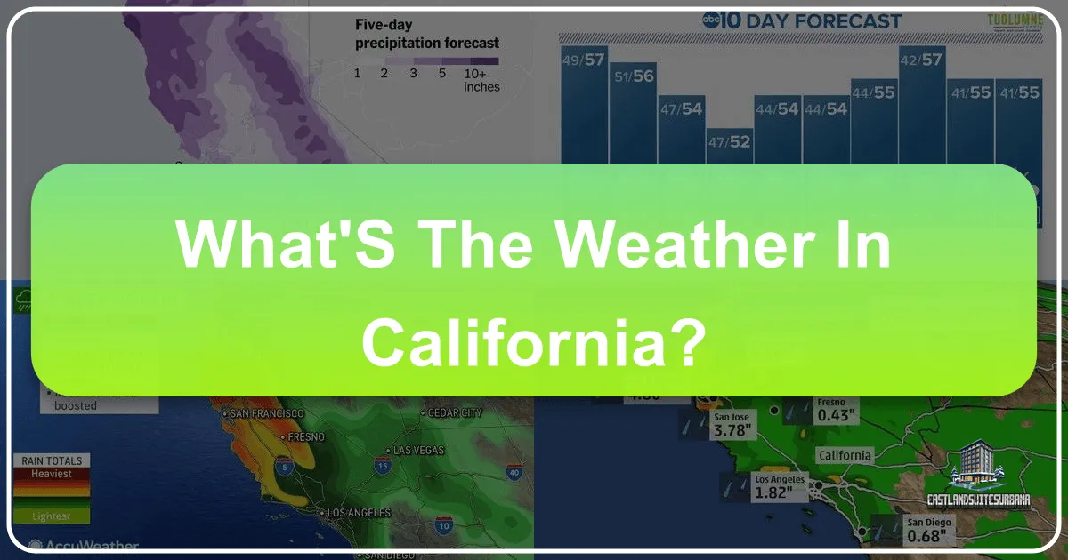 What'S The Weather In California?