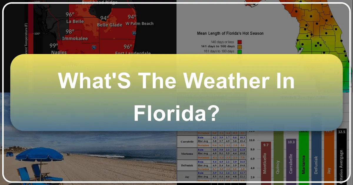 What's the Weather in Florida