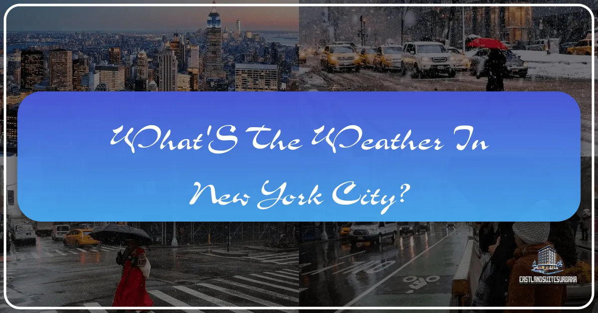 What's the Weather in New York City?