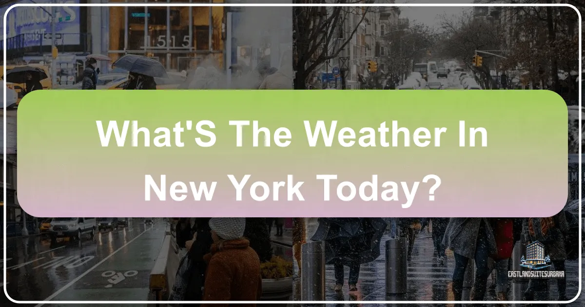 What'S The Weather In New York Today?