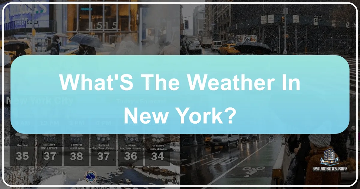 what's the weather in new york