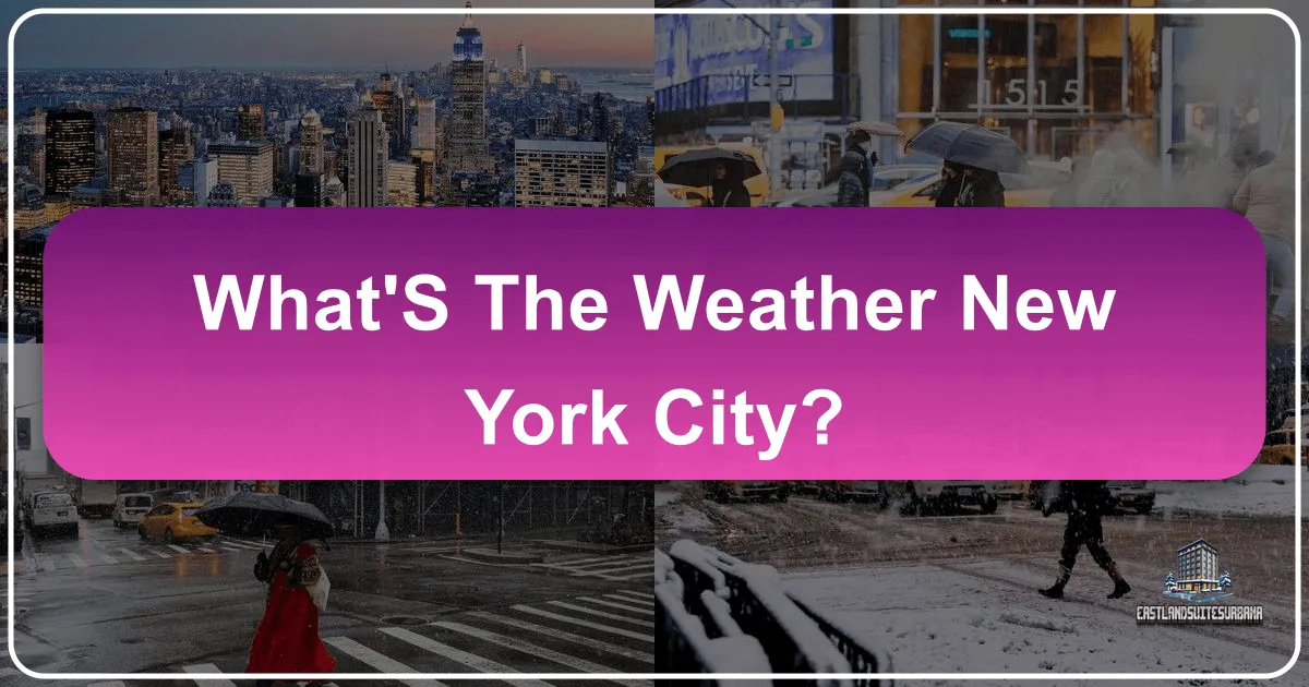 What's The Weather New York City?
