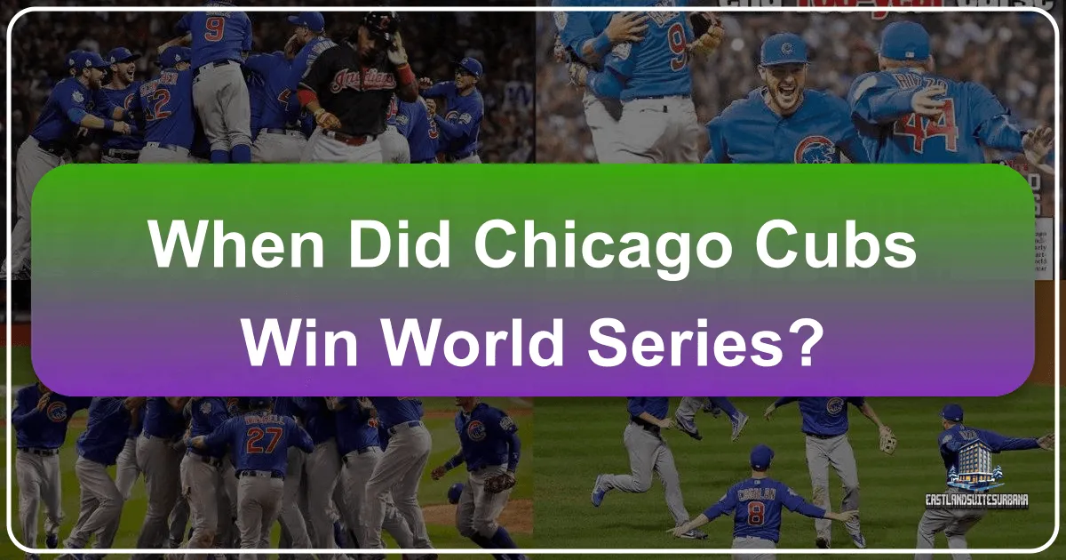 When Did the Chicago Cubs Win the World Series? A Historic Victory and Guide to Experiencing Chicago's Sporting Legacy