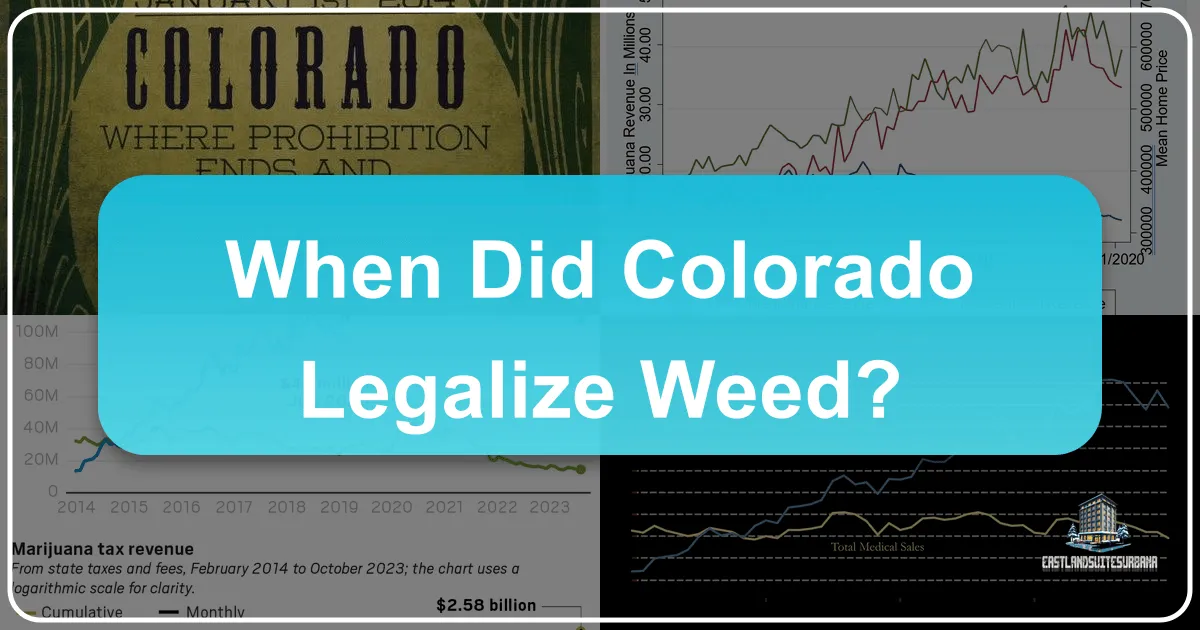 Colorado's Green Revolution: A Traveler's Guide to Legal Cannabis and Mountain Adventures