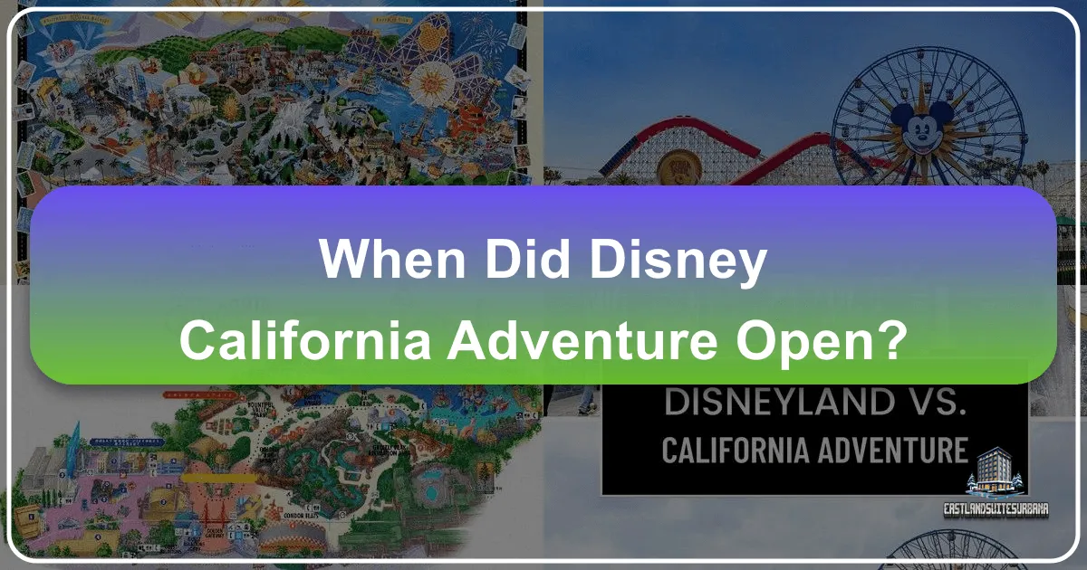 When Did Disney California Adventure Open?