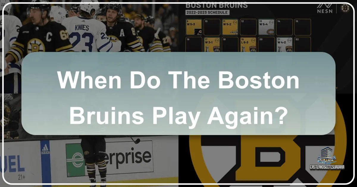 When Do The Boston Bruins Play Again?