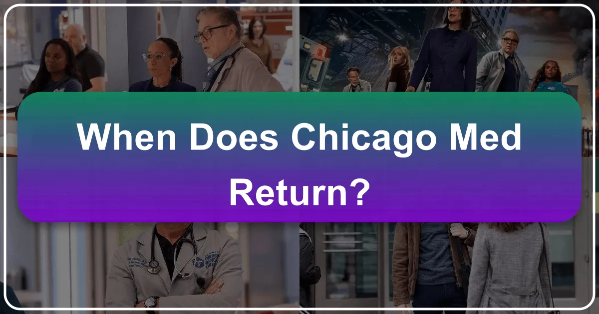 Beyond the Waiting Game: Discovering Chicago's Charms While Awaiting Chicago Med's Return