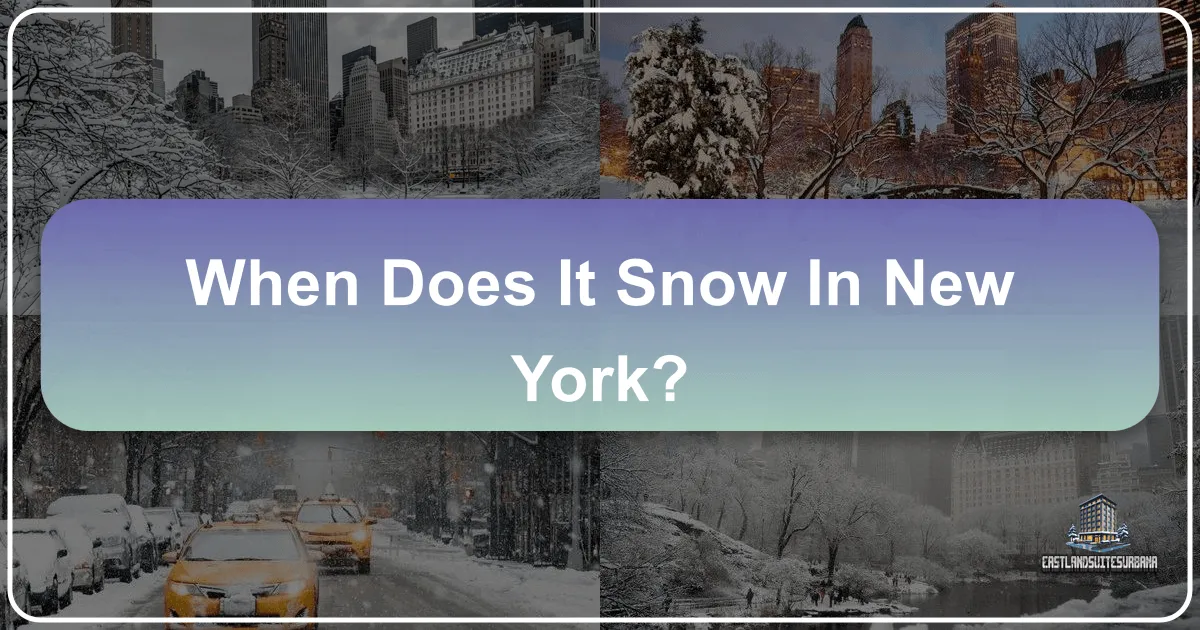 When Does It Snow In New York?