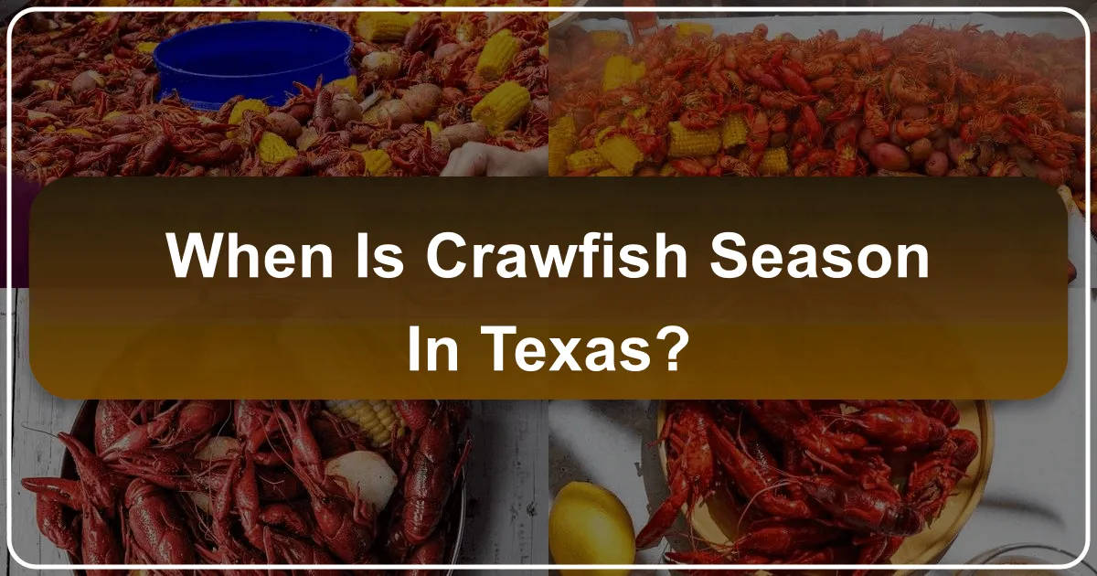 When is Crawfish Season in Texas?