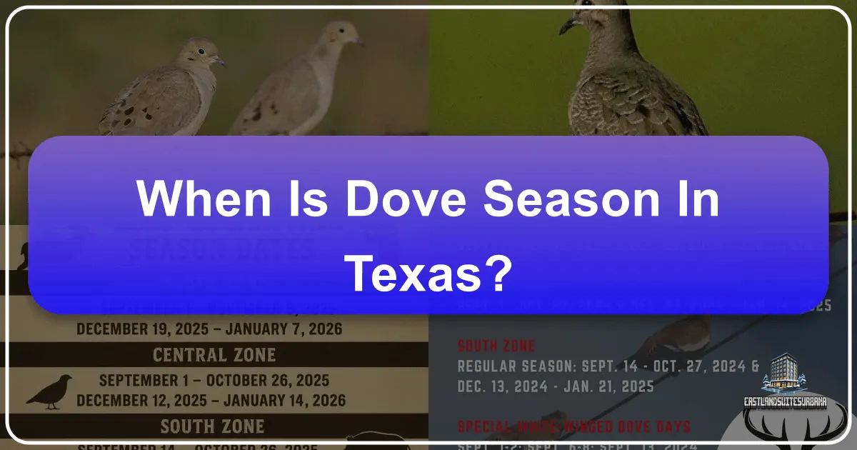 When Is Dove Season In Texas? Your Essential Guide to an Unforgettable Hunting and Travel Experience