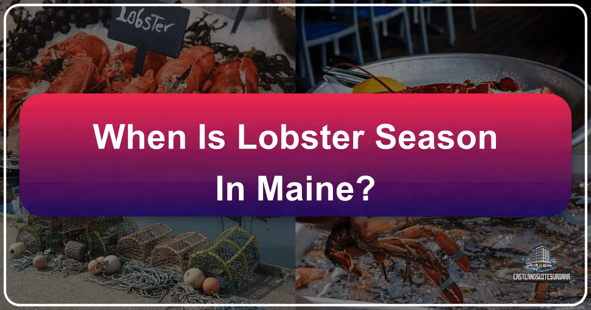 When is Lobster Season in Maine?