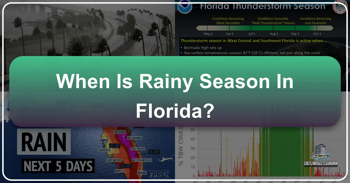 When is Rainy Season in Florida