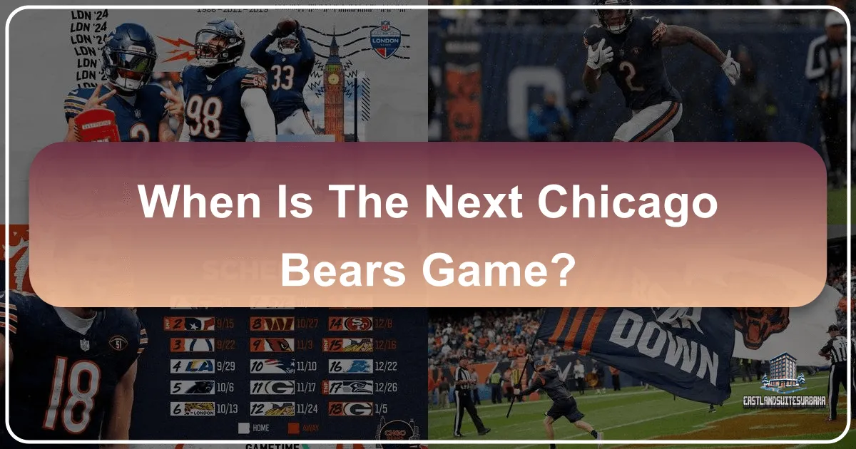 When Is The Next Chicago Bears Game?