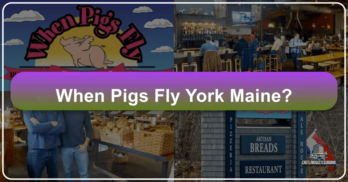 When Pigs Fly in York, Maine: Unearthing Unexpected Travel Wonders