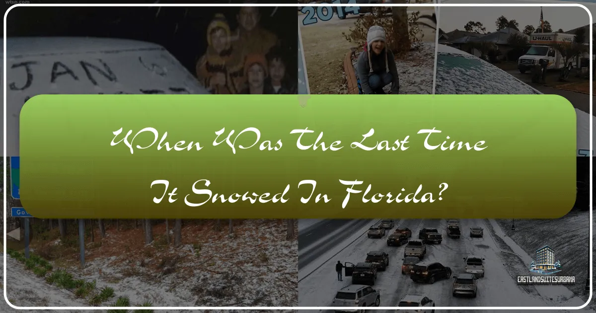 When Was the Last Time It Snowed in Florida?