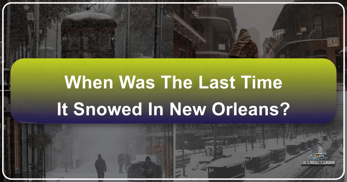 When Was the Last Time It Snowed in New Orleans?