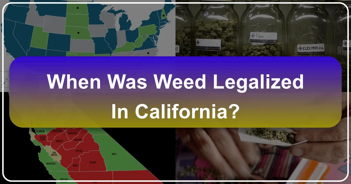 Understanding Cannabis Legalization in California: A Traveler's Guide to Laws, Destinations, and Experiences