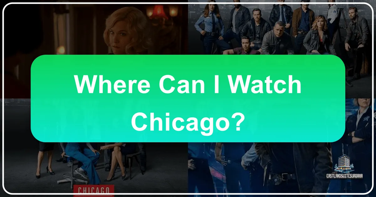 Where Can I Watch Chicago? An Immersive Guide to Experiencing the Windy City
