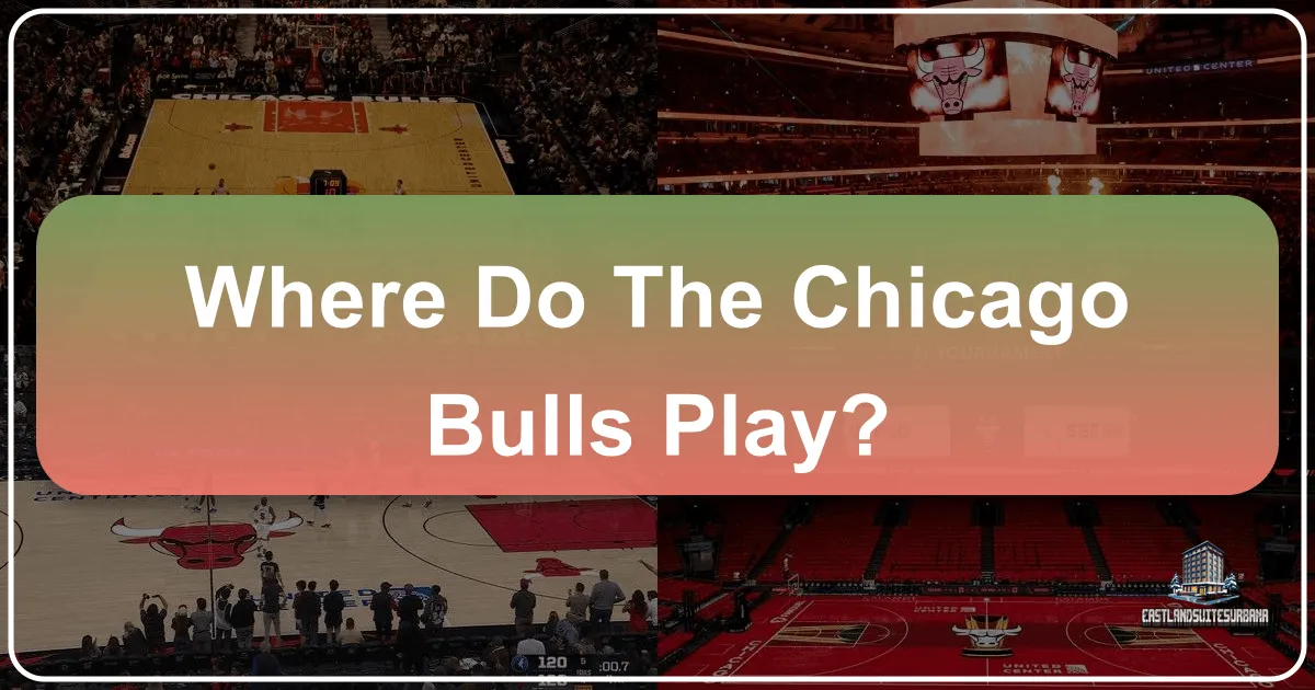 Where Do The Chicago Bulls Play?