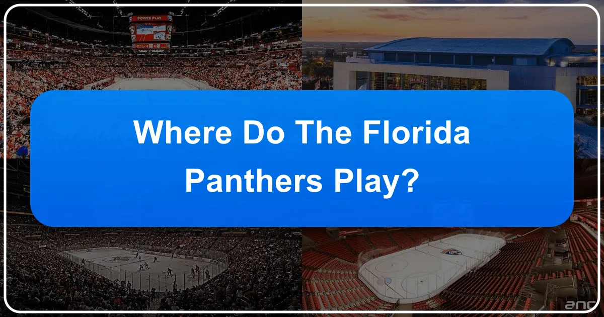 where do the florida panthers play